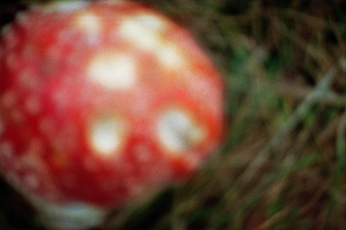 (01)